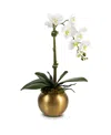 Cocobella Adeline Gold Realtouch Orchid