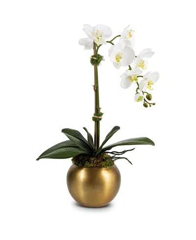 COCOBELLA COCOBELLA ADELINE GOLD-TONE REAL TOUCH ORCHID BOTANICAL