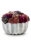 Cocobella Allison Ceramic Sedum Arrangement In Light/pastel Grey