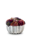 Cocobella Allison Ceramic Sedum Arrangement In Pink