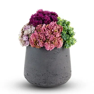 Cocobella Artful Interiors Mini Sedum Arrangement