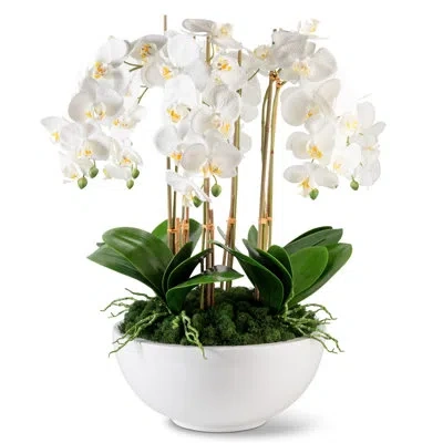 Cocobella Artful Interiors Oversized Realtouch Orchid Arrangement In Large Fiberstone Bowl In White