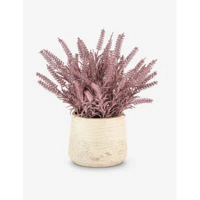 Cocobella Artful Interiors Purple Wheatgrass