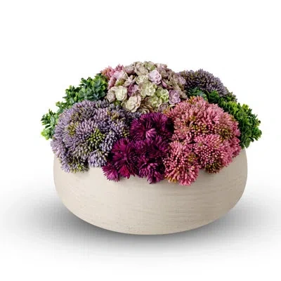 Cocobella Artful Interiors Sedum Floral Arrangement In Pot In Ash
