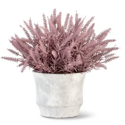 Cocobella Artful Interiors Wheatgrass Arrangement In Purple