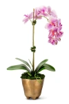 Cocobella Axel Realtouch Orchid Arrangement In Periwinkle