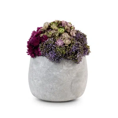 Cocobella Bailey Ceramic Sedum Arrangement In Purple,pink,beige,green