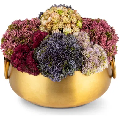 Cocobella Beatrix Gold Sedum Arrangement