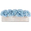 Cocobella Bellamy Hydrangea Arrangement In Blue