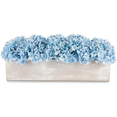 Cocobella Bellamy Oblong Hydrangea Arrangement