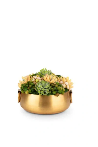 Cocobella Blaise Succulent Arrangment