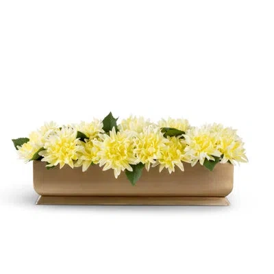 Cocobella Carlotta Realtouch Dahlia Gold Trough In Citrine