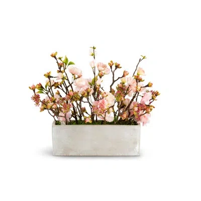 Cocobella Caroma Blush Mixed Florals In Pink