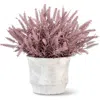 Cocobella Casper Wheatgrass Arrangement In Purple