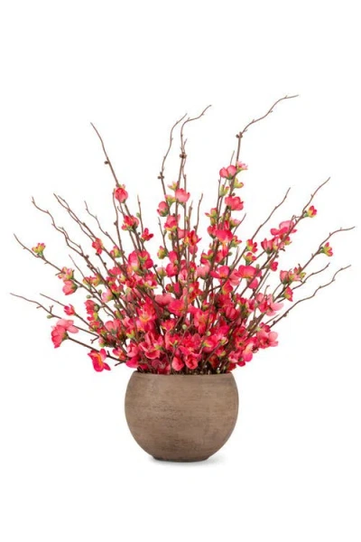 Cocobella Cassian Rubellite Quince Blossom