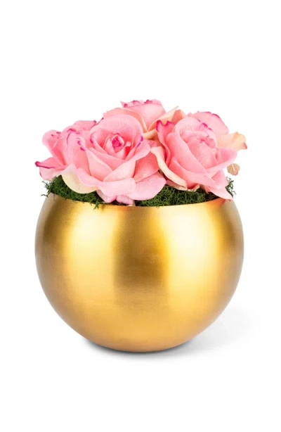 Cocobella Cillian Realtouch Rose Arrangement In Gold