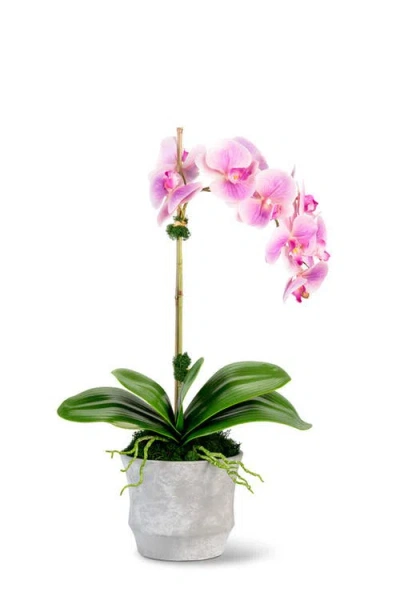 Cocobella Clementine Realtouch Orchid Arrangement In Periwinkle