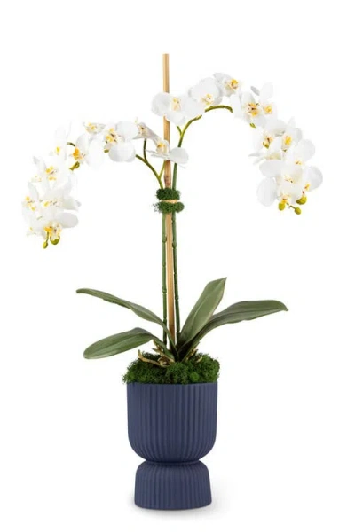 Cocobella Cruz Realtouch Pedestal Orchid