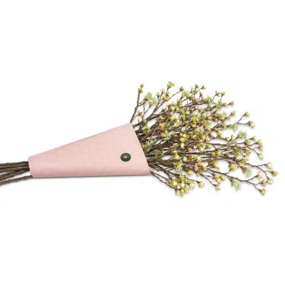 Cocobella Delila Bud Bundle In Multi