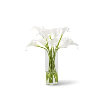 Cocobella Dietrich Realtouch Calla Lily Arrangement In Snow