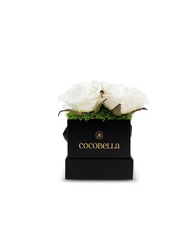 Cocobella Eleanor Mini Realtouch Rose Hatbox In Black
