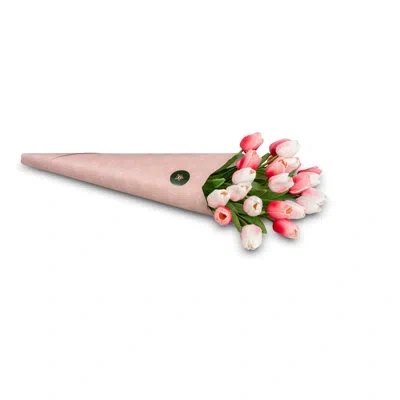 Cocobella Estella Realtouch Tulip Bundle In Multi