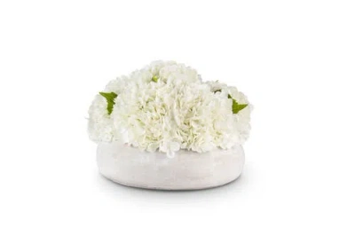 Cocobella Ezri Realtouch Hydrangea