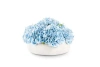 Cocobella Ezri Realtouch Hydrangea