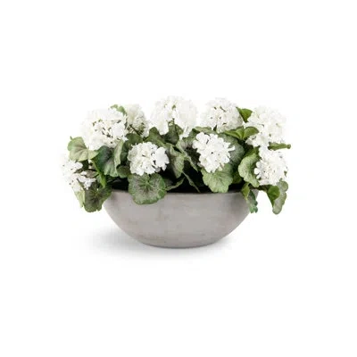 Cocobella Felice Snowball Hydrangea Arrangement In White
