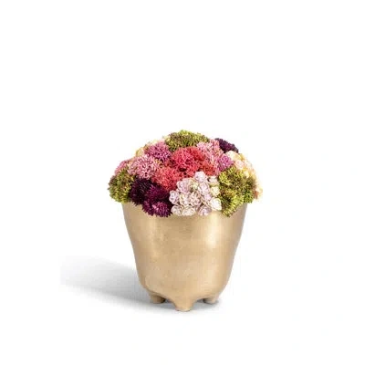 Cocobella Florence Sedum Arrangement In Pink