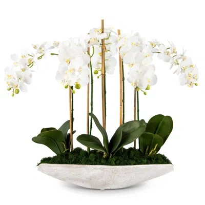 Cocobella Functional Beauty Realtouch Orchid Planter In White