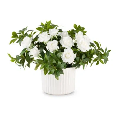 Cocobella Functional Beauty Realtouch Rosebush Arrangement In White