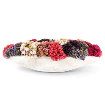 Cocobella Functional Beauty Sedum Arrangement In Pink;purple