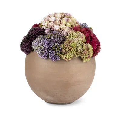 Cocobella Functional Beauty Sedum Arrangement In Purrple,red,blue