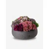 Cocobella Georgina Sedum Charcoal