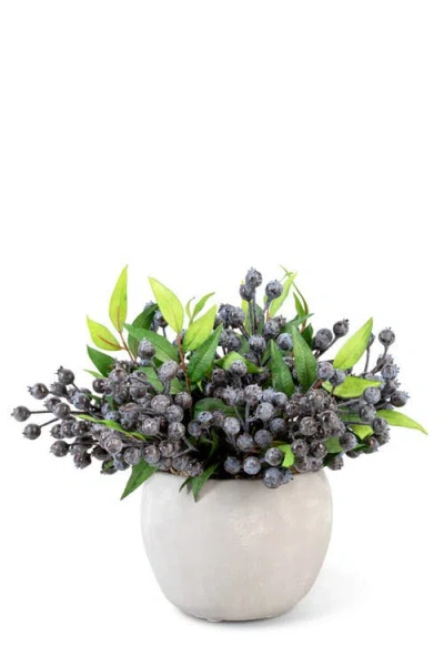 Cocobella Jemma Blueberry Arrangement