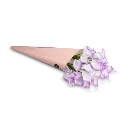 Cocobella Lilia Realtouch Calla Lily Bundle In Purple