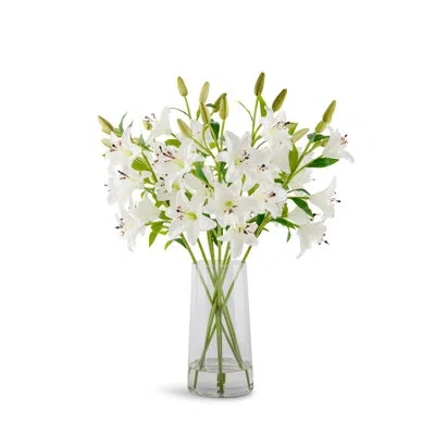Cocobella Lourmarin Realtouch Lily Arrangement In White