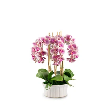Cocobella Lugano Realtouch Orchid Arrangement In Periwinkle