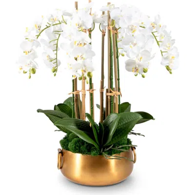 Cocobella Madelyn Realtouch Orchid In Snow