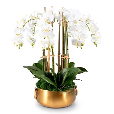 Cocobella Madelyn Realtouch Orchid In White
