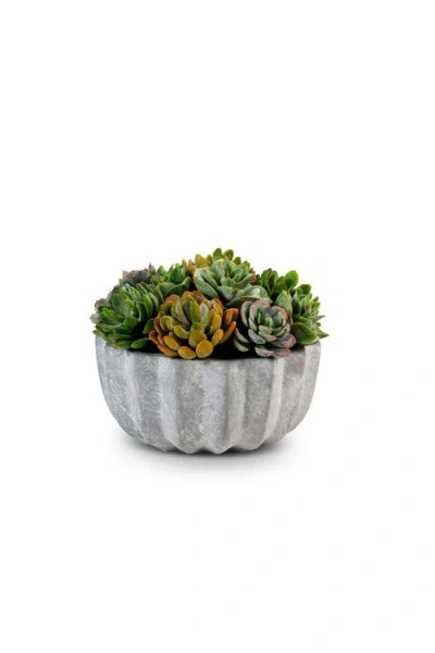 Cocobella Madison Pleated Ceramic Succulent Arrangement In Grey