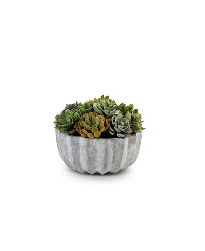 COCOBELLA MADISON PLEATED CERAMIC SUCCULENT ARRANGEMENT
