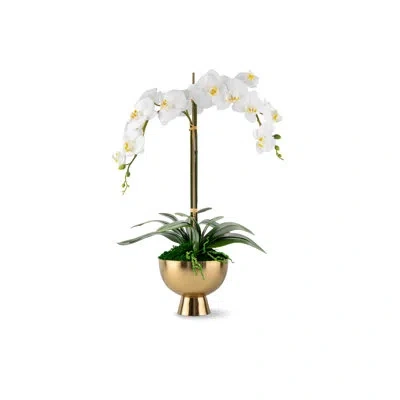 Cocobella Monet Realtouch Orchid In Gold Pedestal In Snow