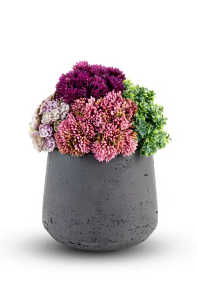 COCOBELLA COCOBELLA NERIAH MINI SEDUM ARRANGEMENT