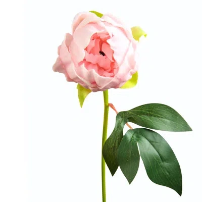 Cocobella Pink Realtouch Peony