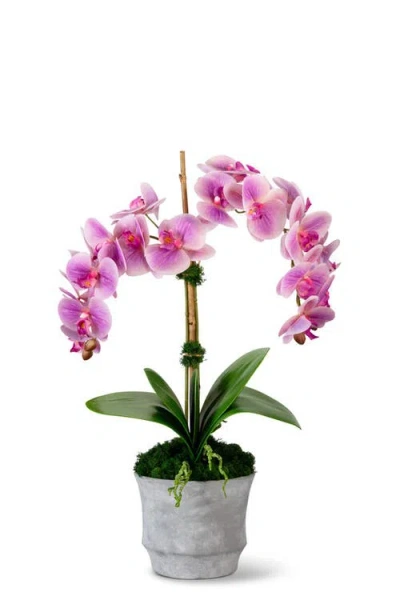 Cocobella Rosalyn Realtouch Orchid In Periwinkle