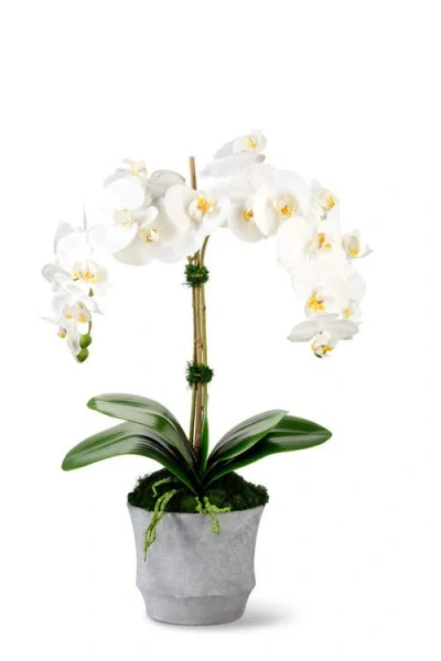 Cocobella Rosalyn Realtouch Orchid In White
