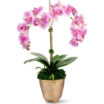 Cocobella Rowan Realtouch Orchid In Multi