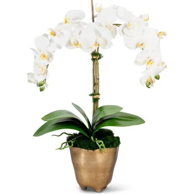 Cocobella Rowan Realtouch Orchid In Multi
